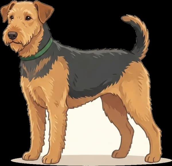 Illustration: Hundefutter Airedale Terrier: Ausdauer
