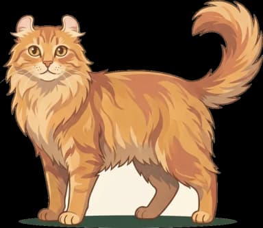 Katzenfutter für American Curl Longhair: Gewicht