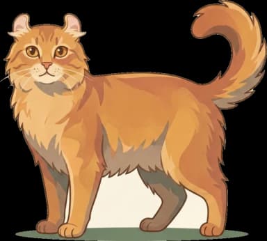 Katzenfutter American Curl: Netzhautschutz