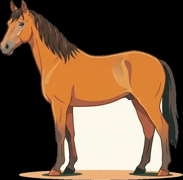 Illustration: Pferdefutter American Standardbred: Magen