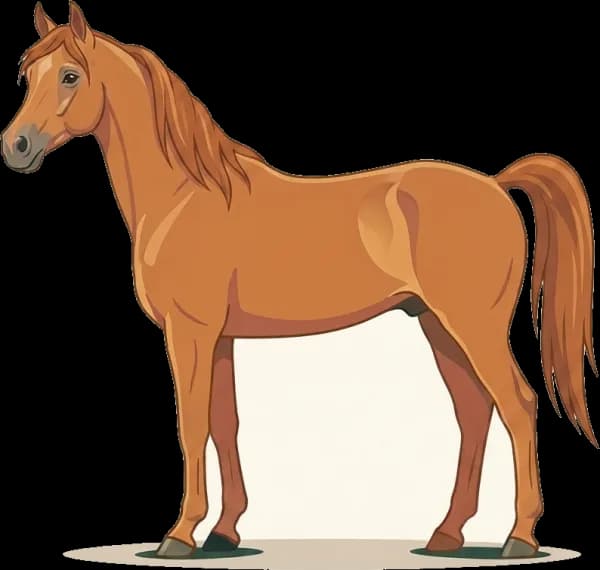 Illustration: Pferdefutter für Araber: Ausdauersport