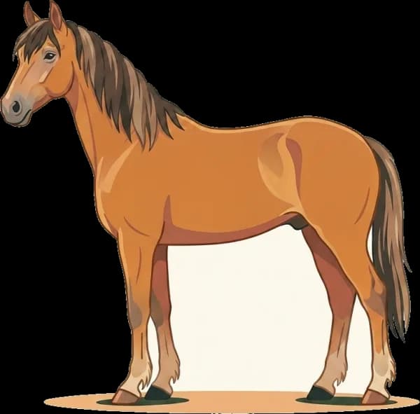 Illustration: Pferdefutter Banat: Robust & bedarfsgerecht