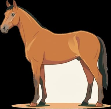 Pferdefutter Brazilian Sport Horse: Ausdauer