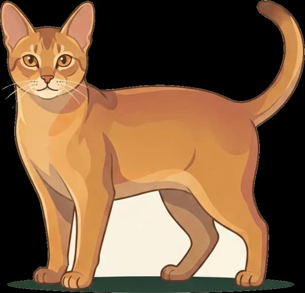 Illustration: Katzenfutter für Chausie: Wildnahe & Protein