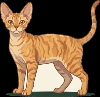 Katzenfutter Devon Rex: HCM-Prophylaxe