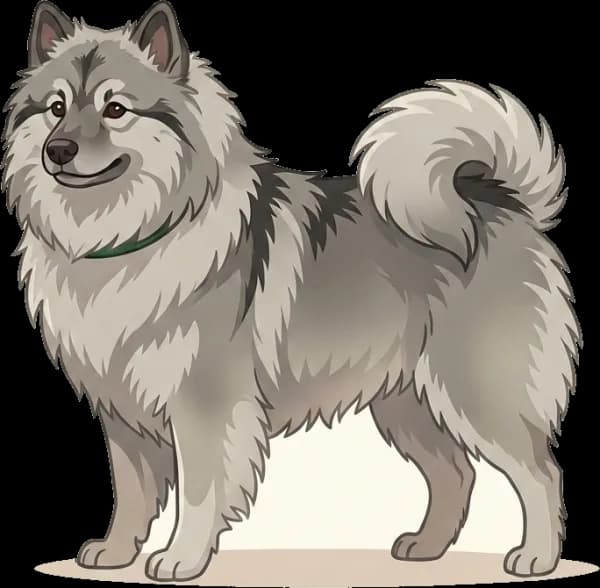 Illustration: Hundefutter Deutscher Spitz: Fell