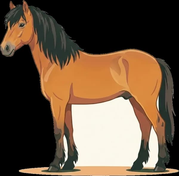 Illustration: Pferdefutter Gotland-Pony: Stoffwechsel-Sensibilität