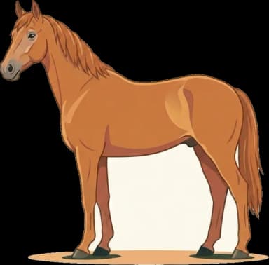 Pferdefutter Hessisches Warmblut: Leistungsgerecht
