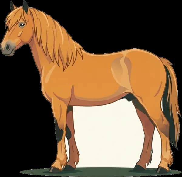 Illustration: Pferdefutter Highland-Pony: EMS-Prävention
