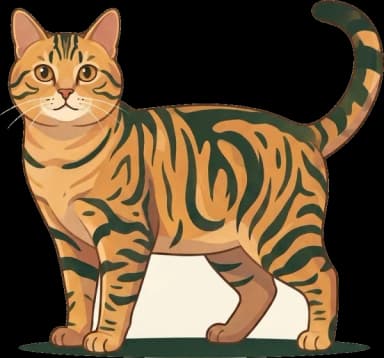 Katzenfutter für Kurzhaar-Hauskatze