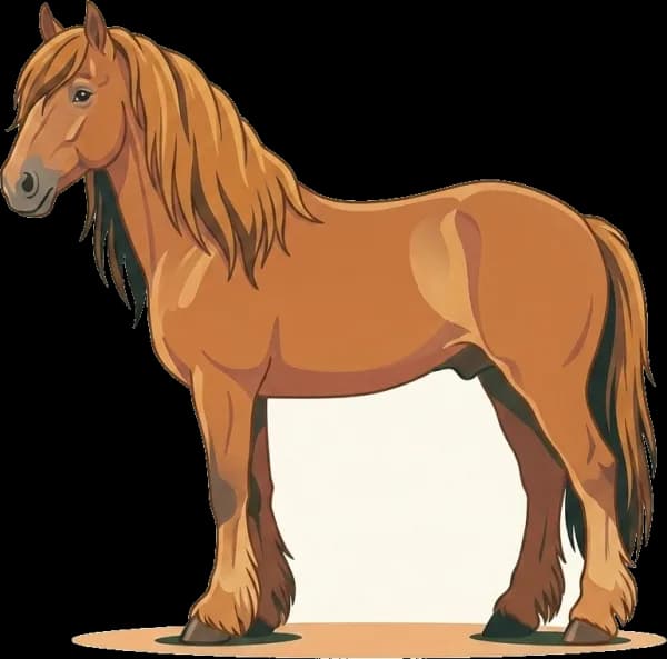 Illustration: Pferdefutter Irish Cob: Gewicht