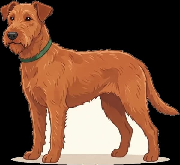 Illustration: Hundefutter Irish Terrier: Steinprävention