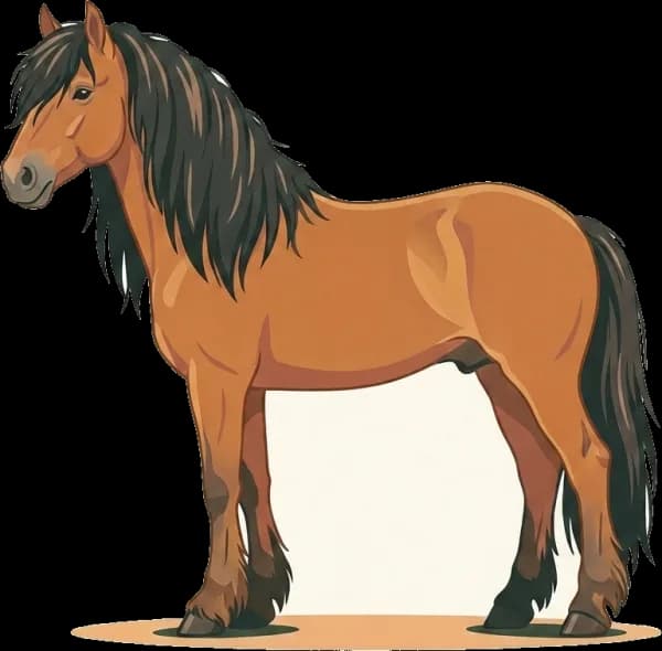 Illustration: Pferdefutter Karelian horse: EMS
