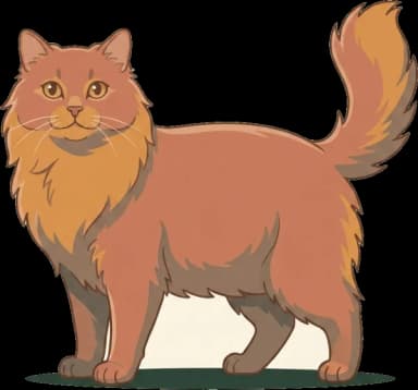 Katzenfutter für Kashmir-Katze: Gewicht