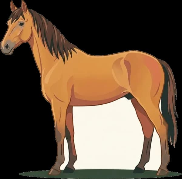 Illustration: Pferdefutter Kiger Mustang: Stoffwechsel