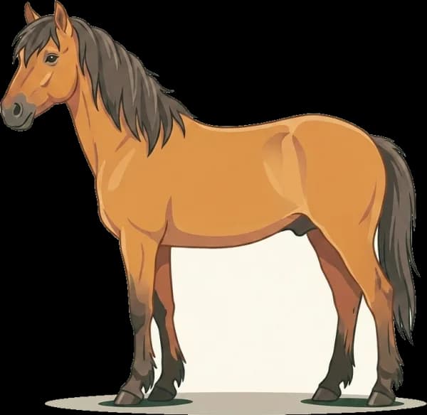Illustration: Pferdefutter Konik: EMS