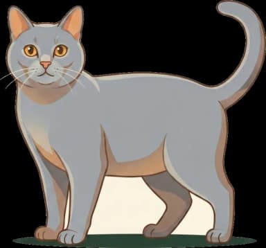 Katzenfutter Korat: Muskelaufbau