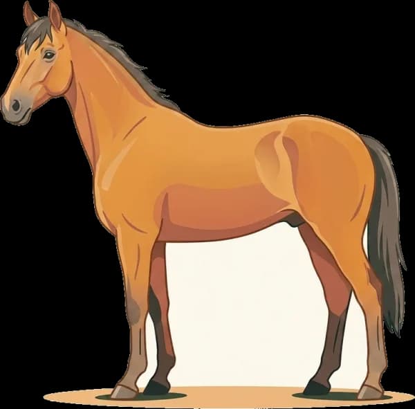 Illustration: Pferdefutter Lehmkuhlener Pony: Hufrehe
