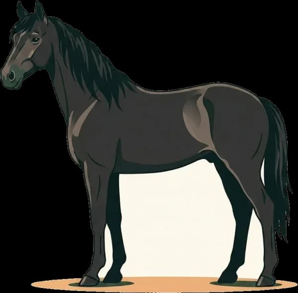 Illustration: Pferdefutter Murgese: Barockpferd Rehe-sicher