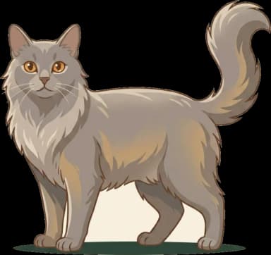 Katzenfutter Nebelung: Karnivor-Premium