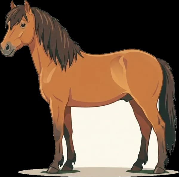 Illustration: Pferdefutter Neufundland-Pony: EMS-Prävention