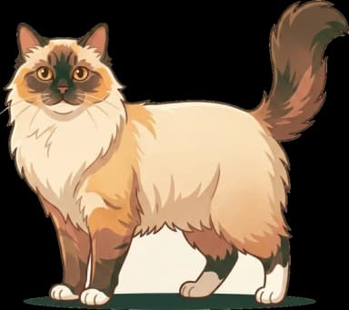 Katzenfutter Neva Masquarade: Herzschutz