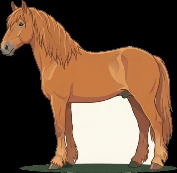 Illustration: Pferdefutter Normannischer Cob: EMS-fokussiert
