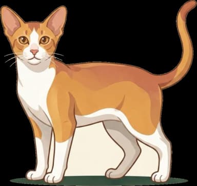 Katzenfutter für Oriental Bicolour: Muskel
