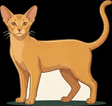 Katzenfutter Oriental Kurzhaar: Aktivität
