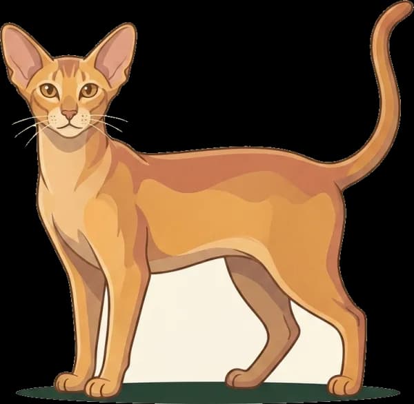 Illustration: Katzenfutter Oriental: Hochaktiv-Protein