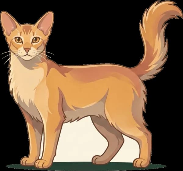 Illustration: Katzenfutter für Orientalisch Langhaar