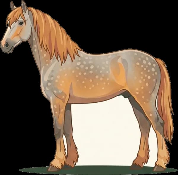 Illustration: Pferdefutter für Percheron