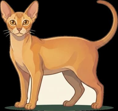 Katzenfutter für Peterbald: Energiereich