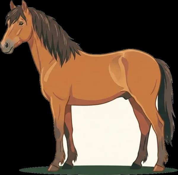 Illustration: Pferdefutter Pindos-Pony: Hufrehe-Prävention