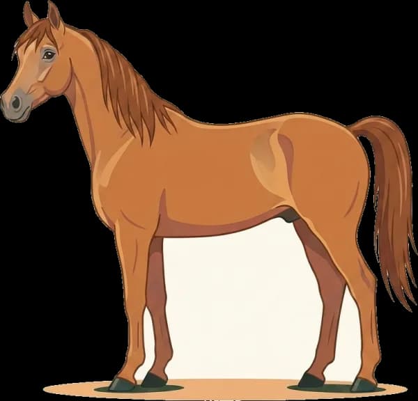 Illustration: Pferdefutter Polnischer Araber: EMS