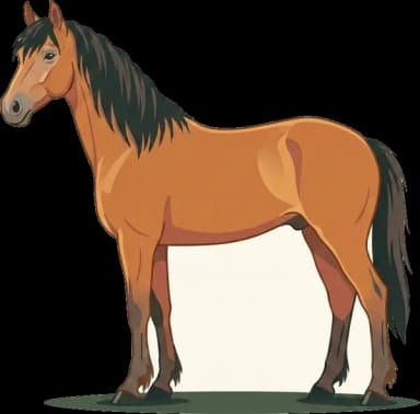Pferdefutter Pottok-Pony: Pyrenäen Leichtfutterer