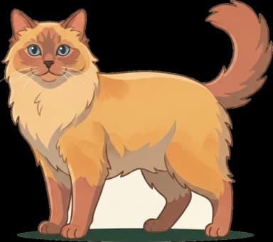 Katzenfutter für Ragdoll: Gewichtskontrolle