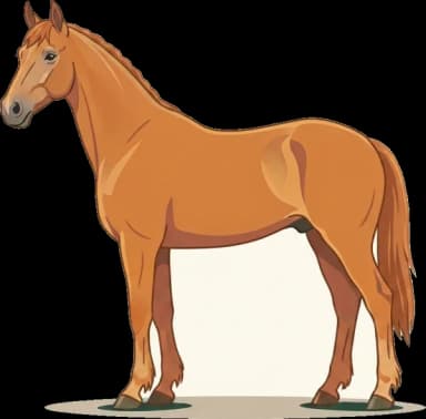 Pferdefutter Rheinisches Warmblut: Sport