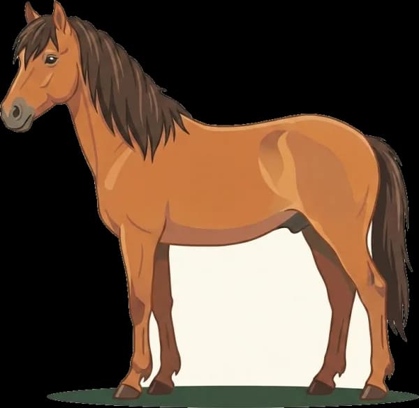 Illustration: Pferdefutter Sable Island Pony: Raufutter-Basis