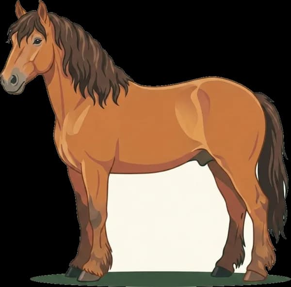 Illustration: Pferdefutter Sächs.-Thür. Schweres Warmblut: Leichtfuttrig