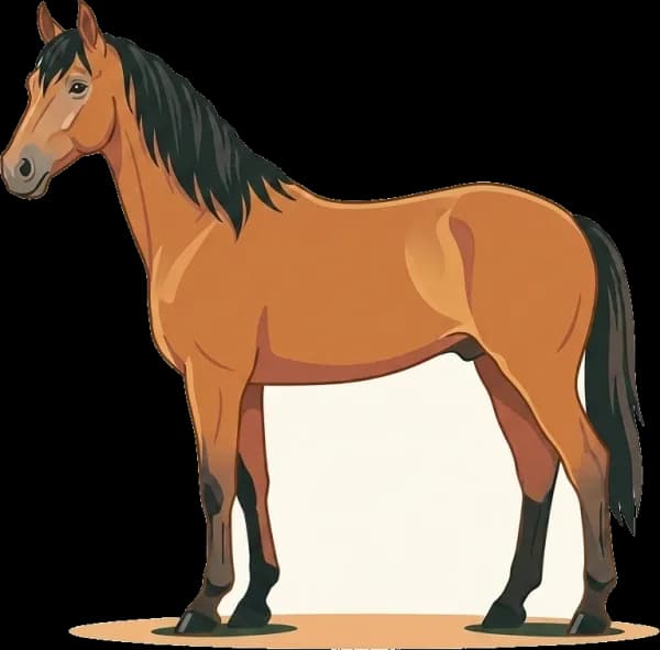 Illustration: Pferdefutter Schwedisches Warmblut: OCD