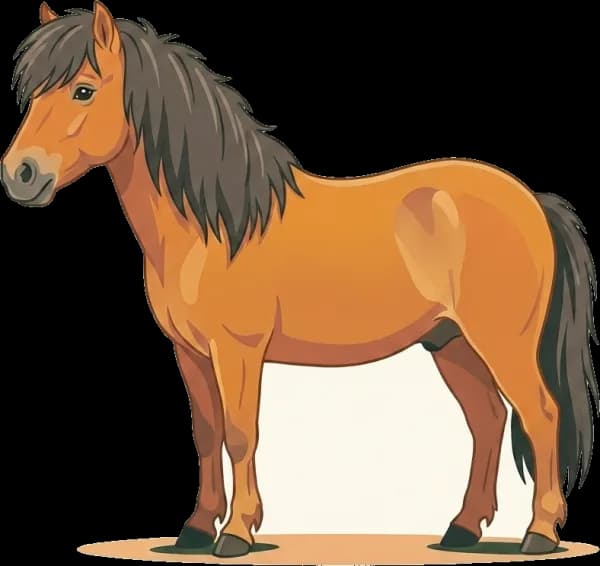 Illustration: Pferdefutter Shetlandpony: EMS & Hufrehe