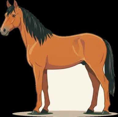 Pferdefutter Tennessee Walker: Hufgesundheit