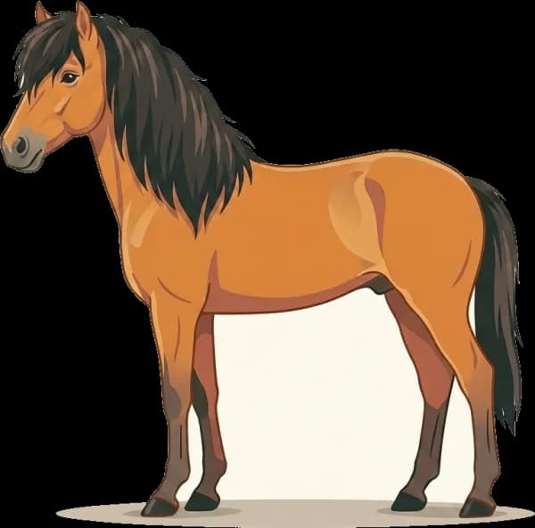 Illustration: Pferdefutter Tori: Effiziente Futterverwertung