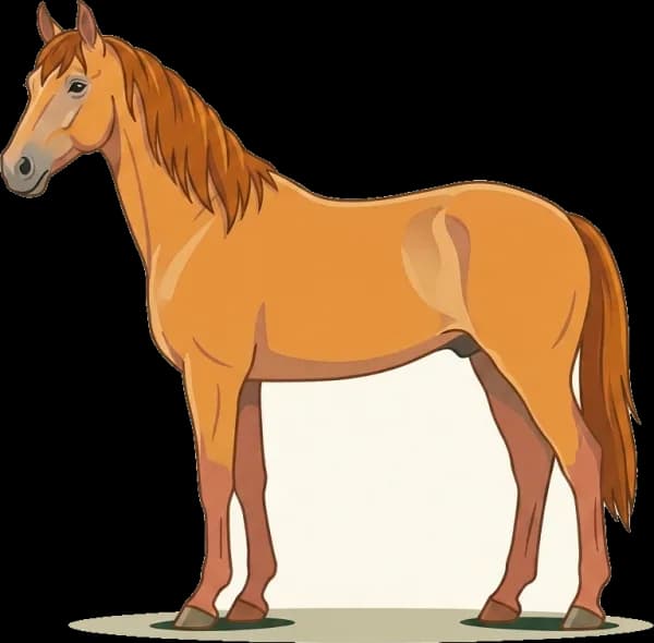 Illustration: Pferdefutter Tschechisches Warmblut