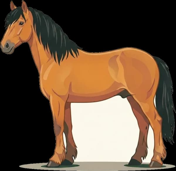 Illustration: Pferdefutter Welsh-Cob