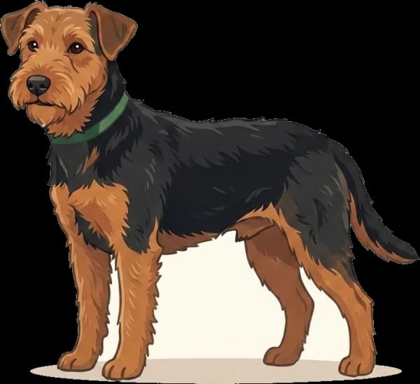 Illustration: Hundefutter Welsh Terrier: Energie · futter.de