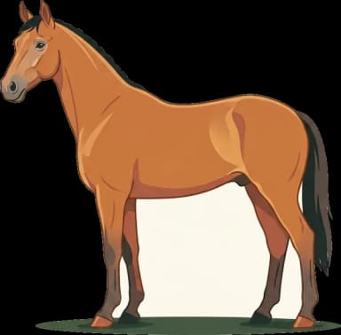 Pferdefutter Zangersheider Pferd: Hochleistung